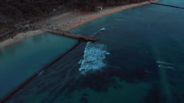 Zdjęcia Dronów Honolulu Hawajach Piękna Nieruchomość Budynki Mieście Palmy Ocean — Wideo stockowe