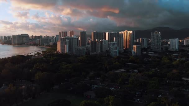 ハワイのホノルルの空中ドローン映像 美しい不動産 街の建物 パームツリー 海とビーチ — ストック動画