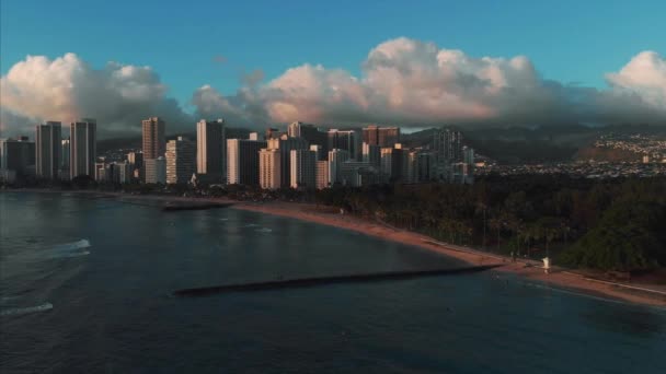 夏威夷火奴鲁鲁的无人机画面漂亮的房地产 城市里的建筑物 棕榈树 海洋和海滩 — 图库视频影像
