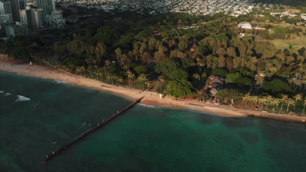 Imagens Drones Aéreos Honolulu Havaí Bela Propriedade Edifícios Cidade Palmeiras — Vídeo de Stock