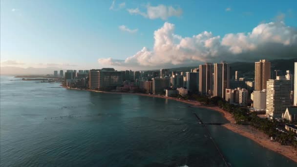 Drone Aérien Honolulu Hawaï Magnifique Immobilier Bâtiments Dans Ville Palmiers — Video