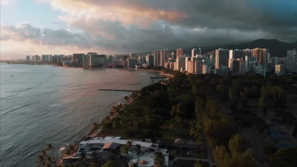 Légi Felvétel Honoluluról Hawaiiról Gyönyörű Ingatlan Épületek Városban Pálmafák Óceán — Stock videók