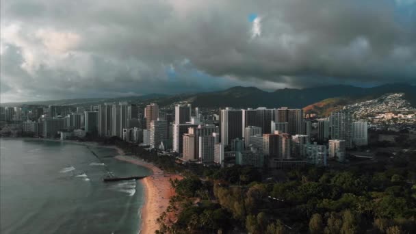 Imagens Drones Aéreos Honolulu Havaí Bela Propriedade Edifícios Cidade Palmeiras — Vídeo de Stock