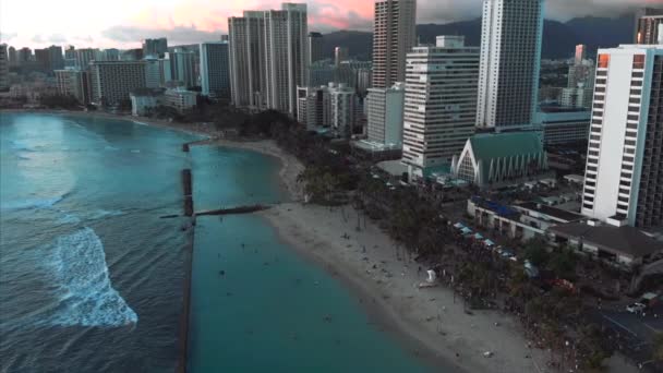 Imagens Drones Aéreos Honolulu Havaí Bela Propriedade Edifícios Cidade Palmeiras — Vídeo de Stock