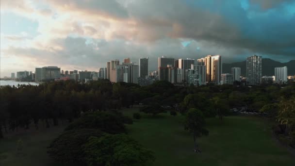 Flygbilder Honolulu Hawaii Vackra Fastigheter Byggnader Staden Palmer Hav Och — Stockvideo