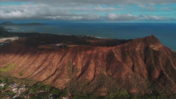 Drone Aérien Honolulu Hawaï Magnifique Immobilier Bâtiments Dans Ville Palmiers — Video