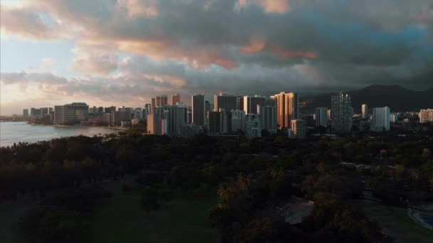 Запись Воздуха Беспилотника Гонолулу Гавайи Красивая Недвижимость Здания Городе Пальмы — стоковое видео