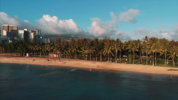 Imagens Drones Aéreos Honolulu Havaí Bela Propriedade Edifícios Cidade Palmeiras — Vídeo de Stock