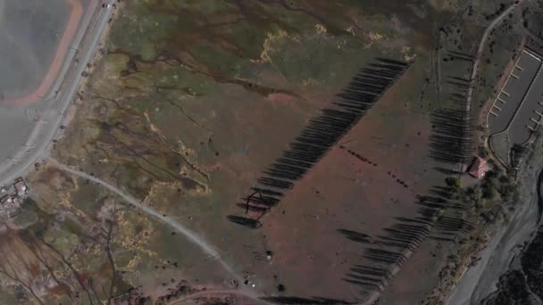 Aerial Shot Showing Swamp Terrain Next Road — 비디오