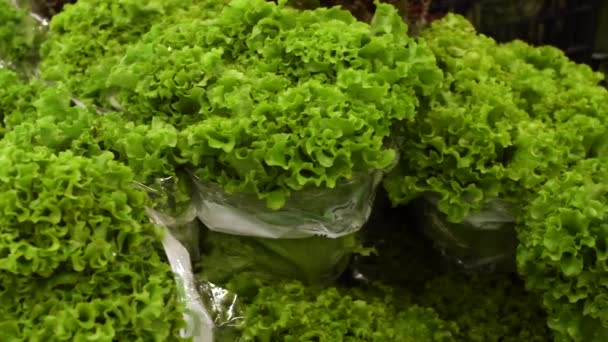 Close Lettuce Isle Beign Water Sprayed Supermarket Slider Movement — Vídeo de stock
