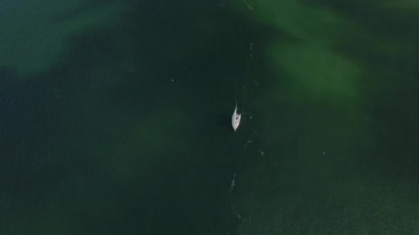 Sailboat San Francisco Oakland Bay Bridge Aerial — Stock video