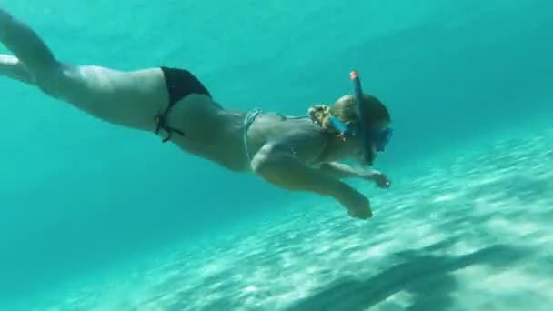 Woman Dives Blue Sea Bottom Swims Back Surface Looks Camera — Stockvideo
