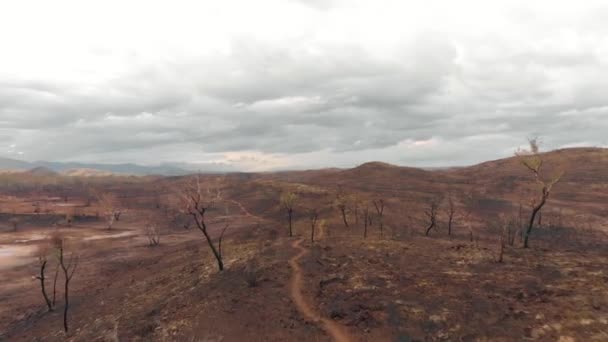 Aerial Drone Shot Trail Winding Scorched Earth Overcast Sky — Stockvideo