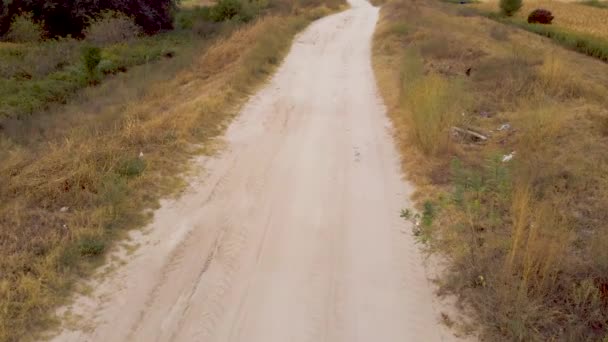 Paved Road Embankment Rural Place Danube River — Stock video