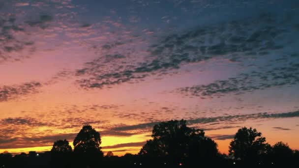 Прекрасний Захід Сонця Блакитними Червоними Помаранчевими Кольорами Тінь Дерев — стокове відео