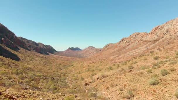 Aerial Drone Shot Hikers Viewing Arid Valley Central Australia — ストック動画