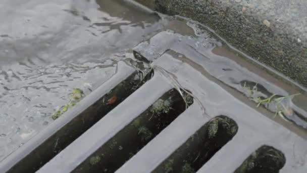 Rainwater Flows Urban Drain — Video Stock