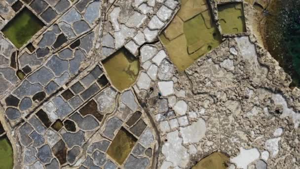 Nsanlar Malta Nın Gozo Adasında Yukarıdan Görüldüğü Gibi Antik Tuz — Stok video