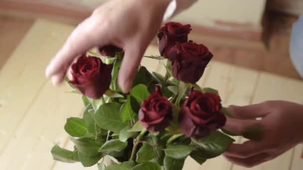 Mãos Arranjar Monte Rosas Vermelhas Num Vaso — Vídeo de Stock