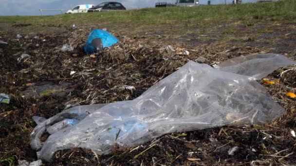 Plastic Rubbish Seashore Wadden Sea Netherlands — Video Stock