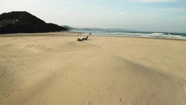 Drone Tiro Boca Rio Que Flui Para Praia Areia Oceano — Vídeo de Stock