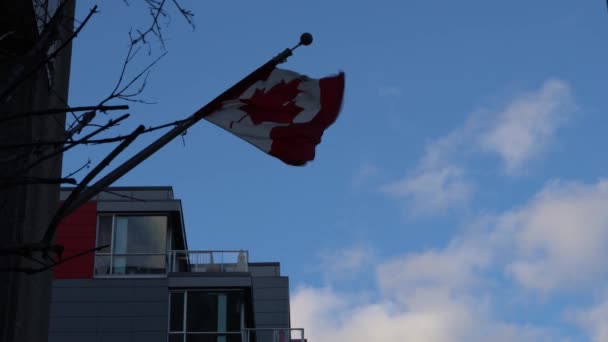 Canadian Flag Moving Fast Clouds Background — Stockvideo