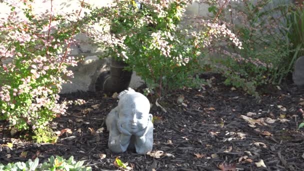 Een Leuke Lachende Jongen Die Gemoedsrust Heeft Deze Tuin — Stockvideo