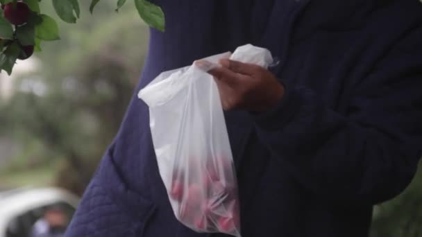 Close Hand Putting Cherries Plastic Bag — Vídeos de Stock