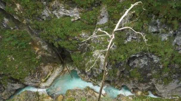 Overhead Shot River Canyon Crystal Clear Water Flowing — Video Stock
