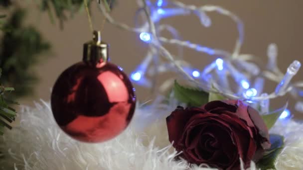 Bola Roja Navidad Rosa Roja Luces Hadas — Vídeo de stock