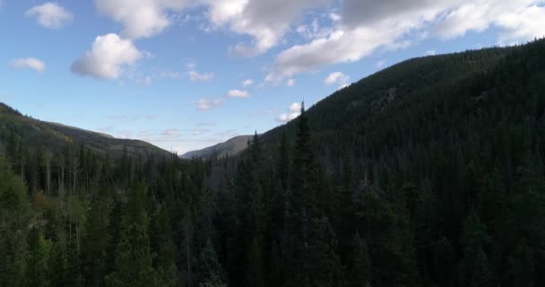 Aerial Descent Showing Mountains Surrounding Pine Trees — Stockvideo