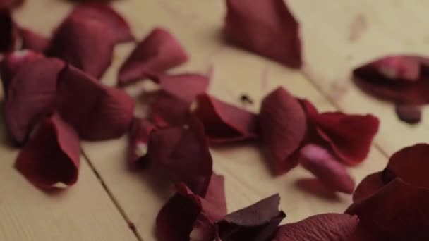 Red Rose Flower Petals Falling Wooden Floor — Vídeo de stock
