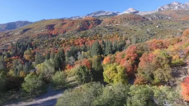Drone Flies Rocks Slopes Dry Creek Trailhead Alpine Utah Leaves — Stock video
