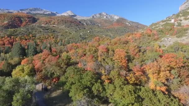 Drone Flies Rocks Slopes Dry Creek Trailhead Alpine Utah Leaves — Vídeo de stock