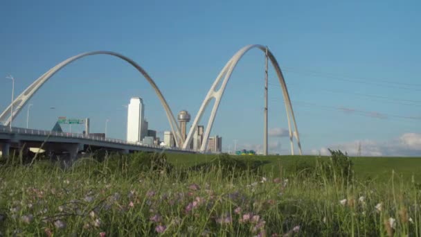 Low Angle Dallas Skyline Framed Margaret Mcdermott Bridge Iconic Reunion — стокове відео