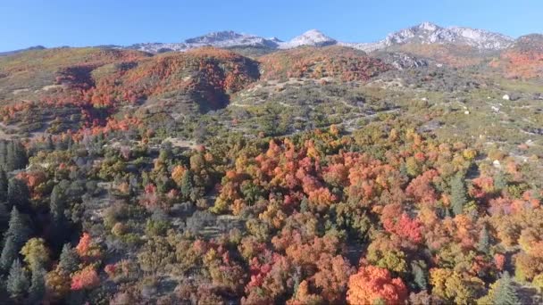 Drone Flies Rocks Slopes Dry Creek Trailhead Alpine Utah Leaves — ストック動画