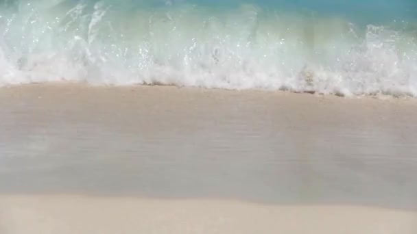 Bird Eye Angle Shot Waves Arriving Sand Beach Caribbean — Stok video
