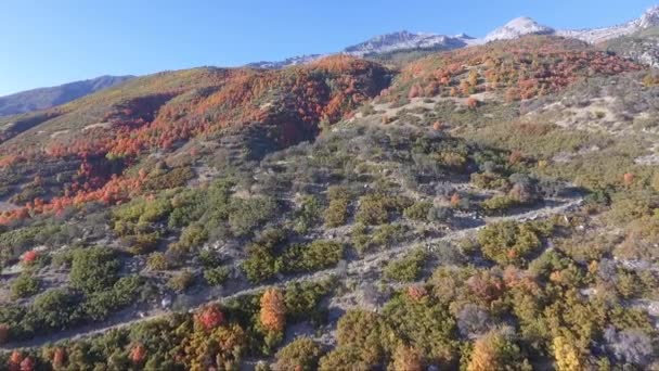 Dron Przelatuje Nad Skałami Zboczami Dry Creek Trailhead Alpine Utah — Wideo stockowe