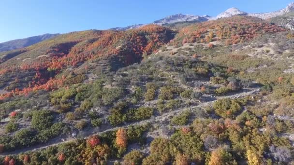 Drone Flies Rocks Slopes Dry Creek Trailhead Alpine Utah Leaves — Stock video