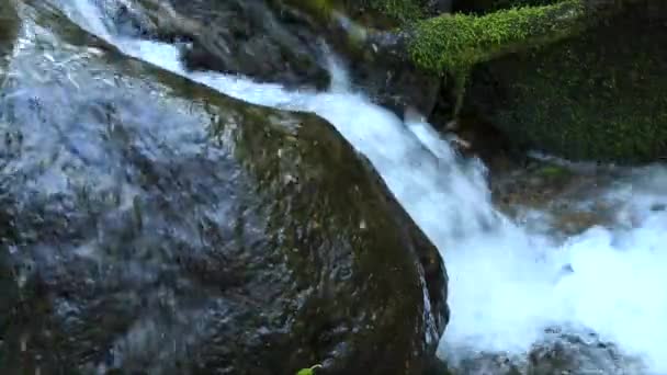 Close Water Running Away Part Waterfall — Stock video