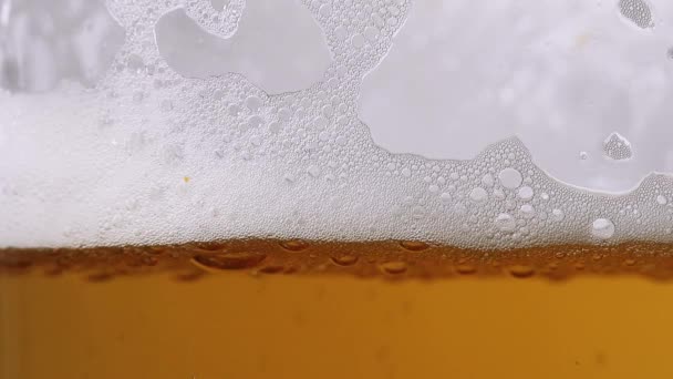 Beer Pouring Glass Bubbles Forming Foam — Vídeos de Stock