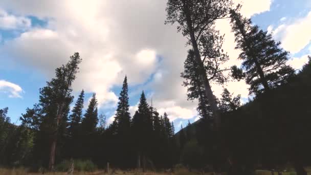 Time Lapse Looking Clouds Peaks Mountains Pine Trees — Stockvideo