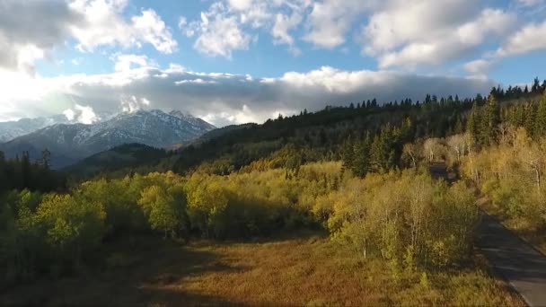 Fall Colors Golden Quaking Aspens Rugged Snow Capped Mountains Fluffy — Stock Video