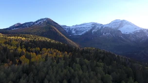 Fall Colors Golden Quaking Aspens Rugged Snow Capped Mountains Fluffy — Wideo stockowe