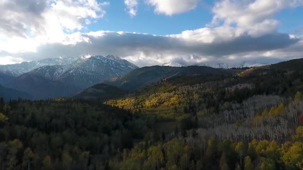 Fall Colors Golden Quaking Aspens Rugged Snow Capped Mountains Fluffy — Vídeo de stock