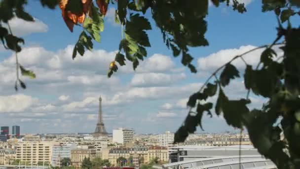 Paris Summer Skyline Eiffel Tower — Video Stock