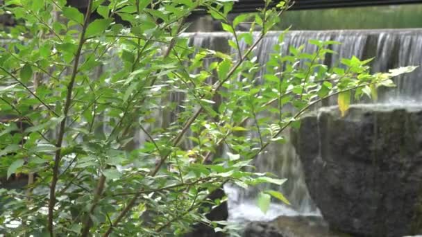 Background You Can Take Moment Relax Few Minutes Waterfall Makes — Stok video
