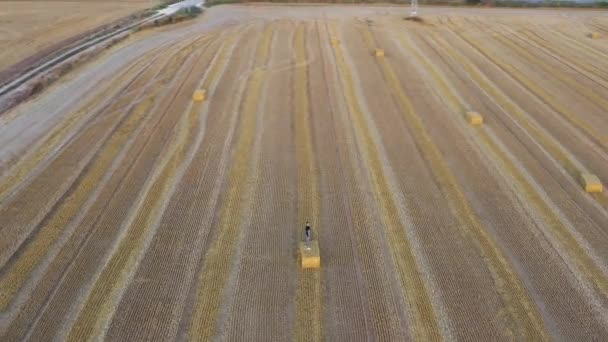 Man Haystack Harvested Wheat Field Looks Aerial Circle Shot — Vídeo de stock