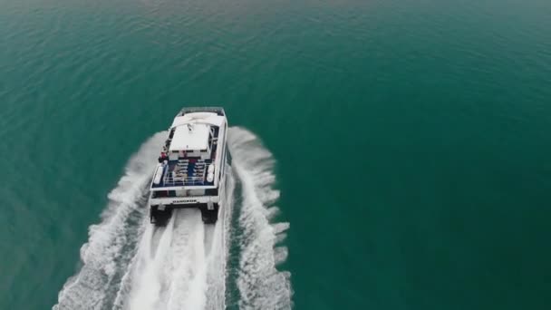 Speed Catamaran Goes Sunset Middle Green Sea — Vídeo de Stock