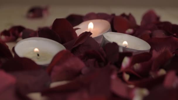 Tea Light Candles Burning Bed Red Rose Petals — Stockvideo